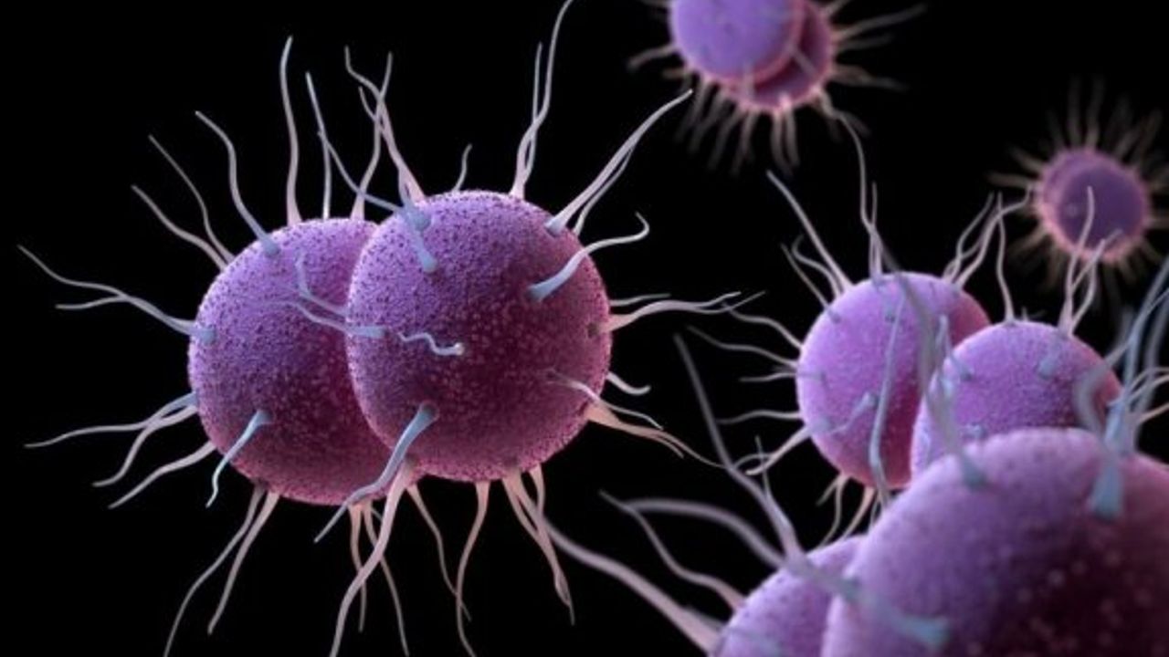 Cinsel yolla bulaşan antibiyotiğe dayanıklı bakteri yayılıyor