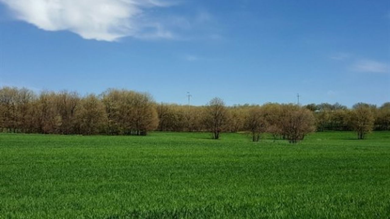 Tarım Dairesi'nden tahıl üreticilerine uyarı