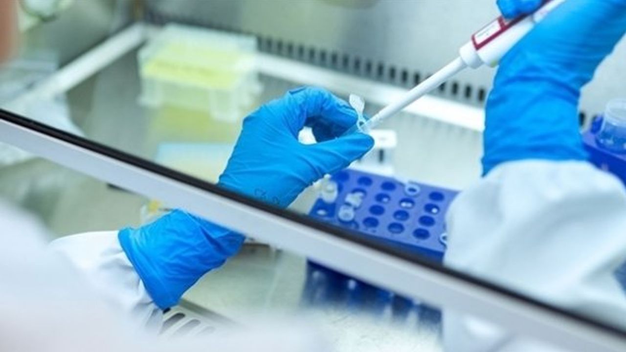 Kovid-19'dan sonra yeni bir küresel salgın iddiası