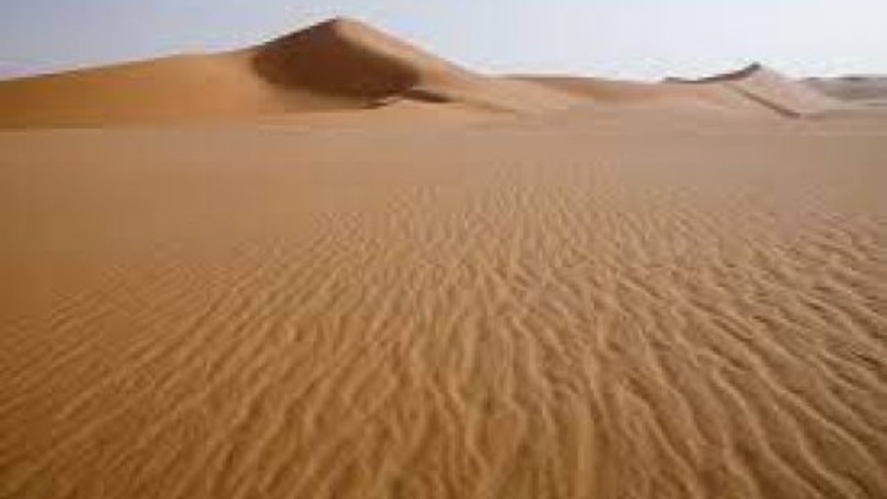 Sahra bir zamanlar yağmur ormanıymış