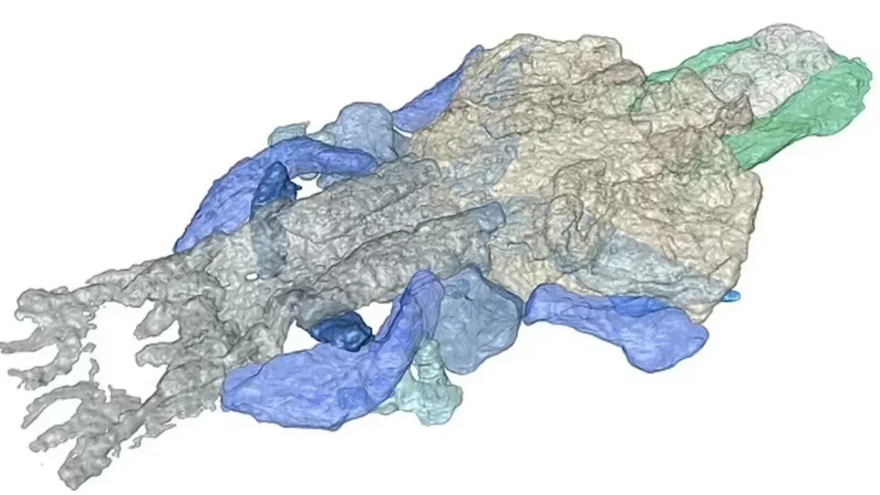 En eski omurgalı bulundu: 390 milyon yaşında