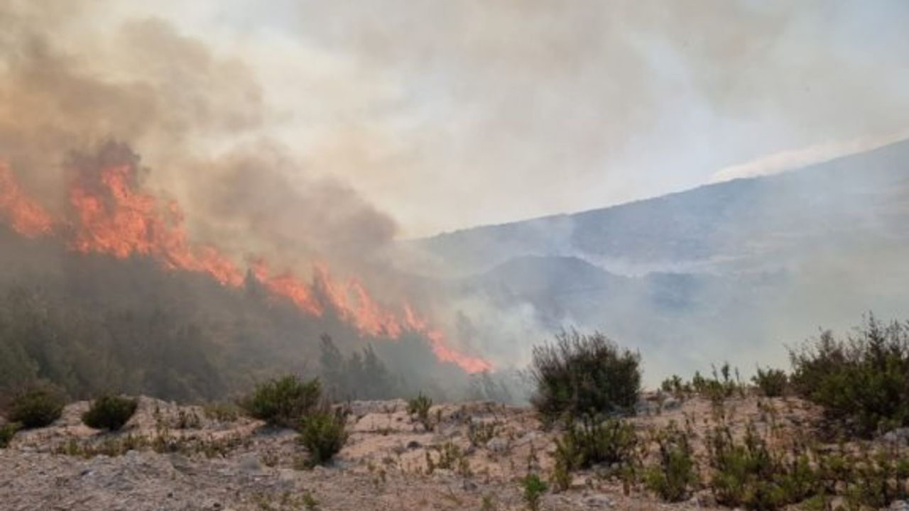Geçitköy'de elektrik tellerinden çıkan kıvılcımlar yangına neden oldu