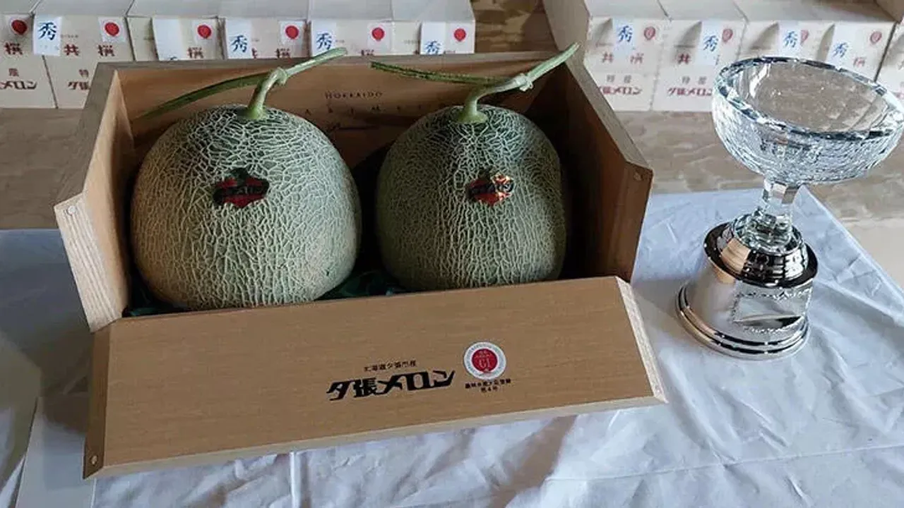 İki adet kavun 387 bin liraya satıldı