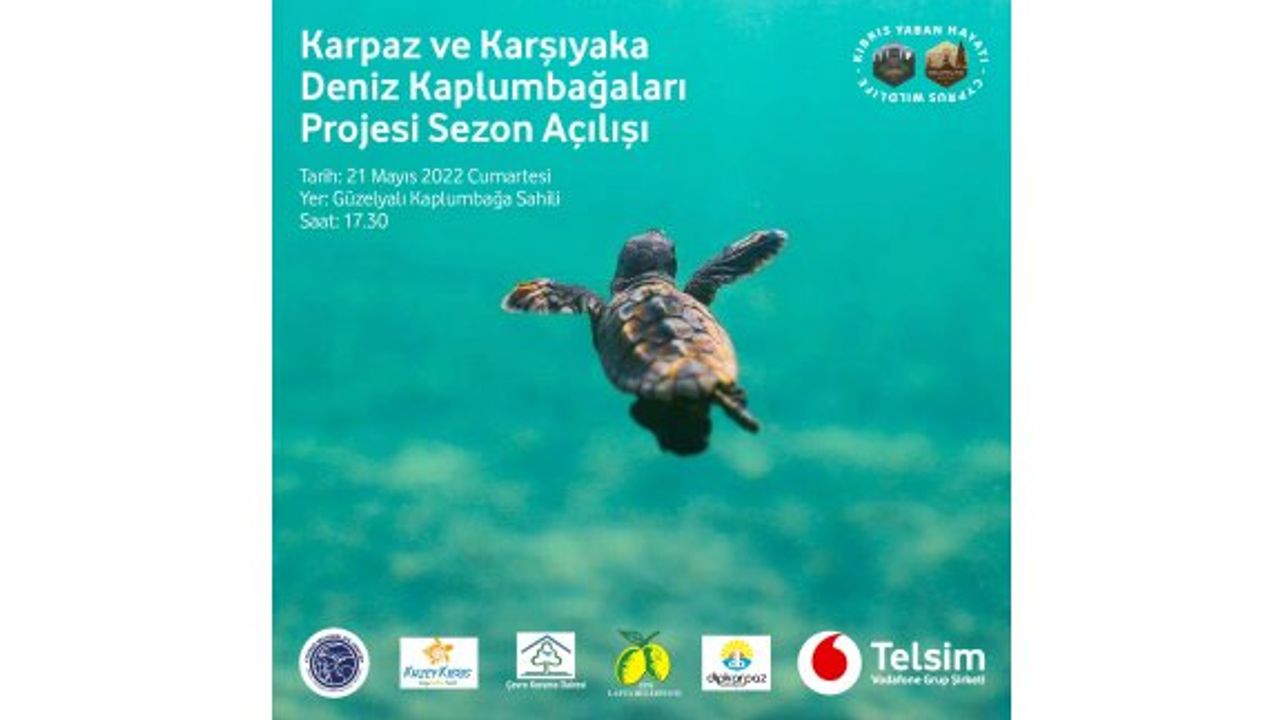 Karpaz ve Karşıyaka Deniz Kaplumbağaları Koruma Projesi Sezonu Açılıyor