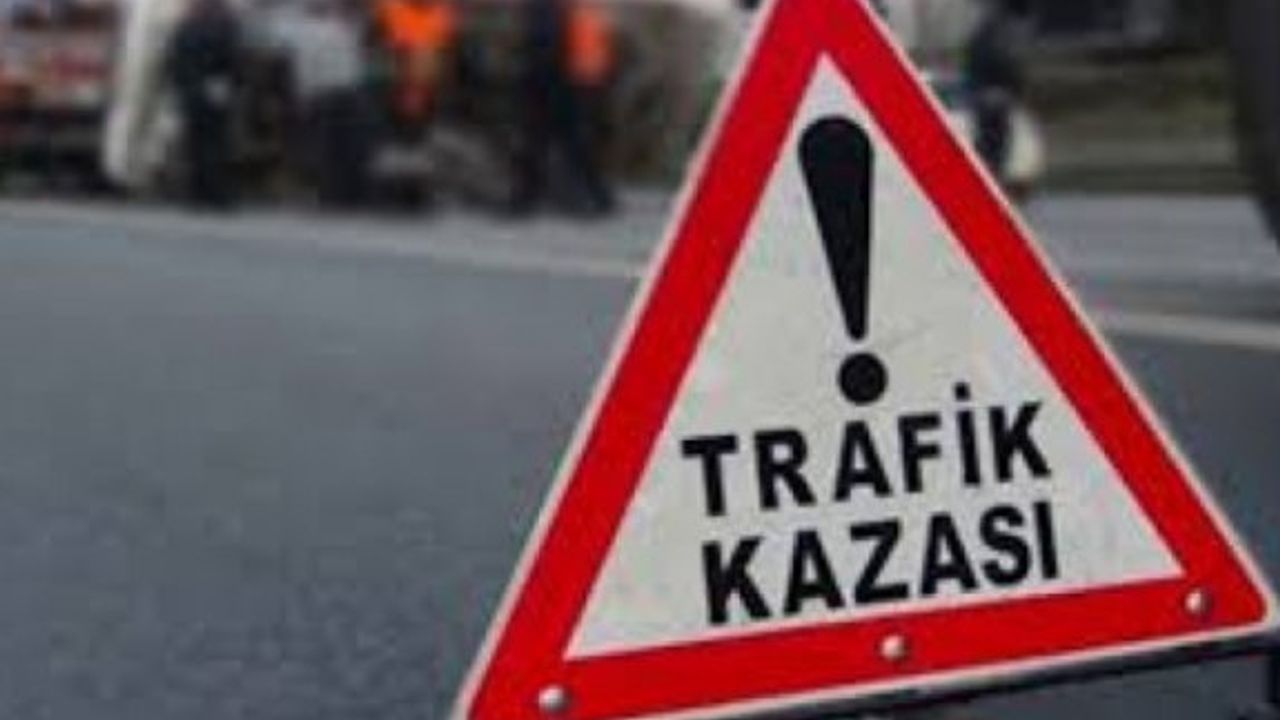 Karpaz’daki kazada 3 yaban eşeği telef oldu