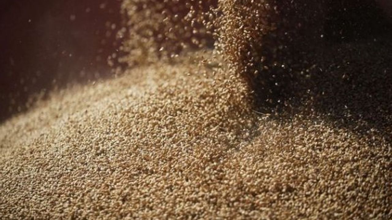 Küresel buğday stokları alarm veriyor