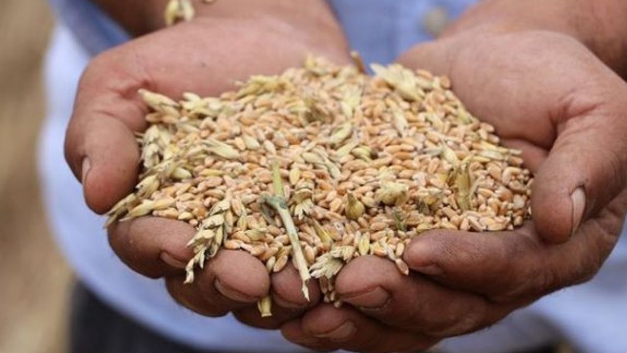 Rusya'dan gıda krizi için öneri