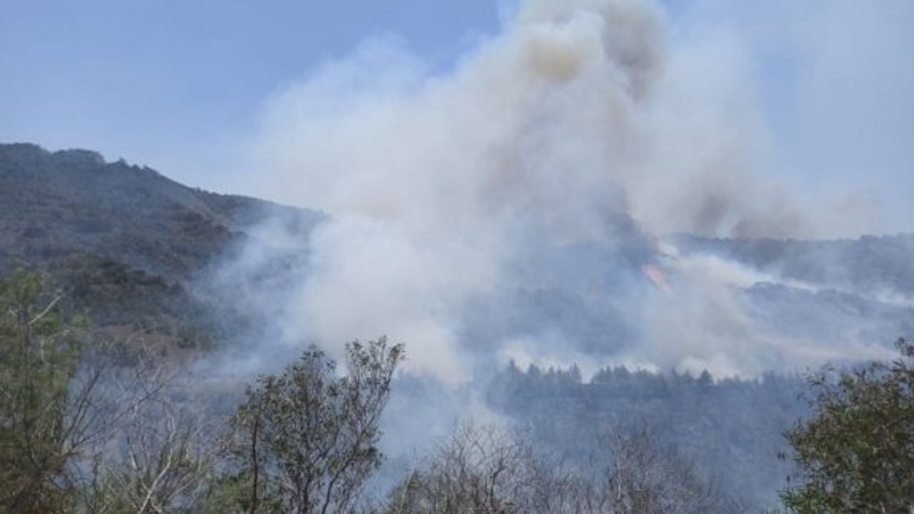 Son dakika: Geçitköy'de büyük orman yangını