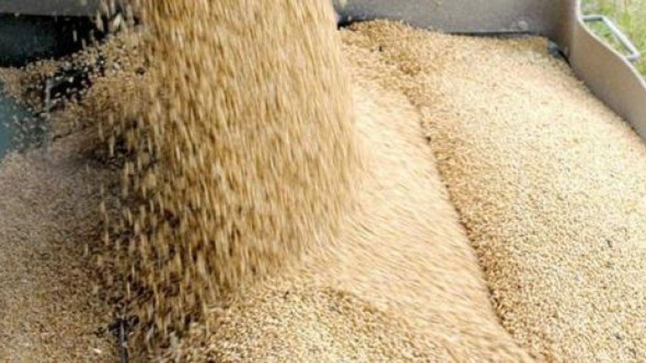 2022 yılı tarımsal desteklerin miktar ve yöntemleri açıklandı