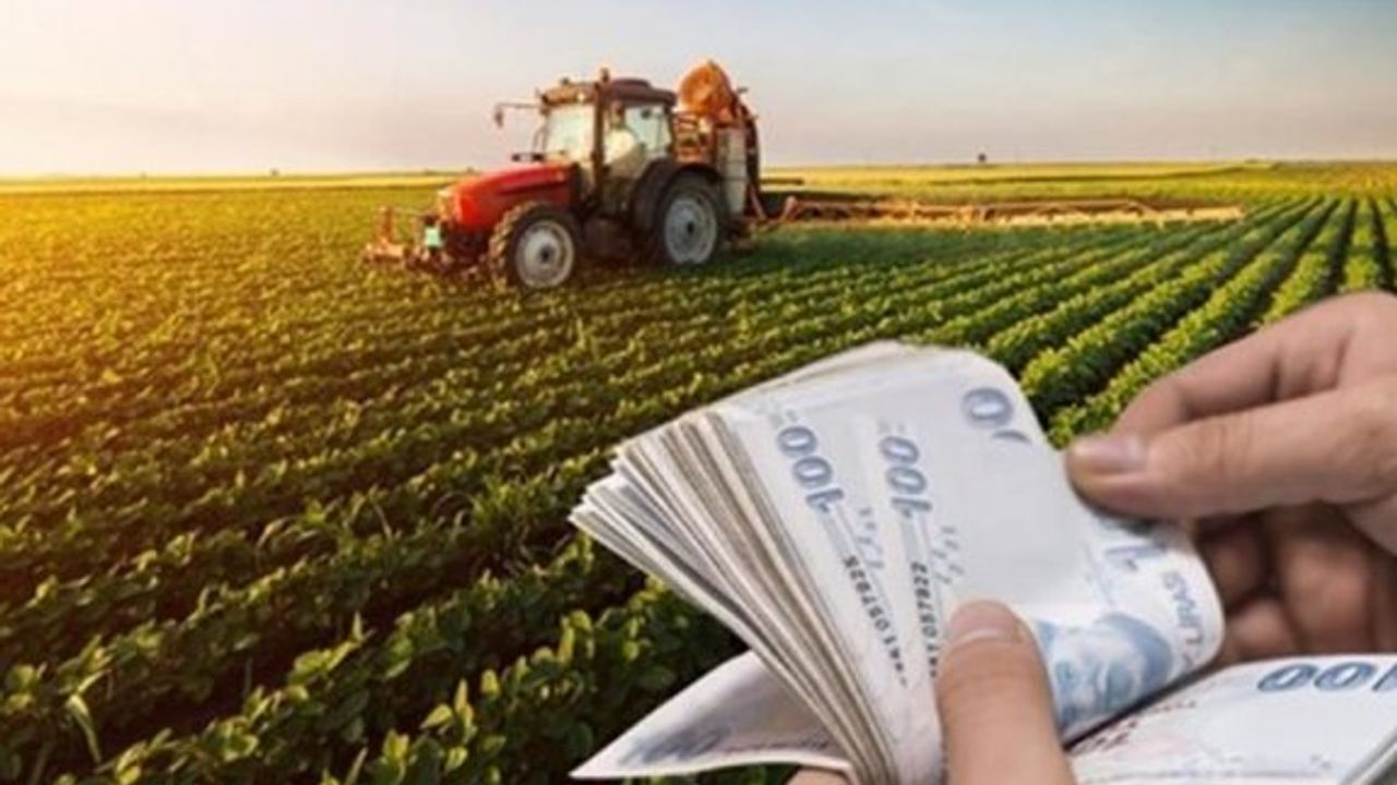 Doğrudan Gelir Desteği ek bütçe kapsamında artırıldı