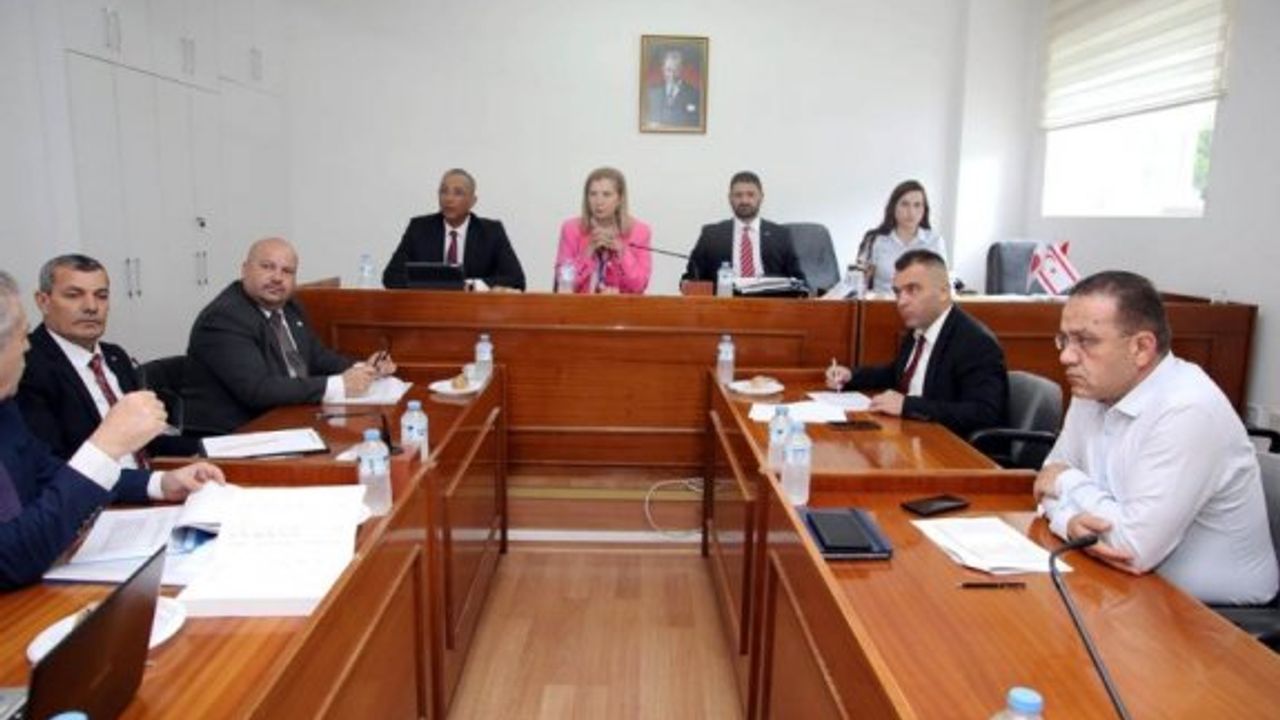 Doğrudan Gelir Desteği ödemelerine yüzde 166.66 artış