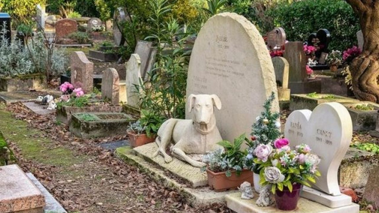 İlk hayvan mezarlığı Güney'de açıldı