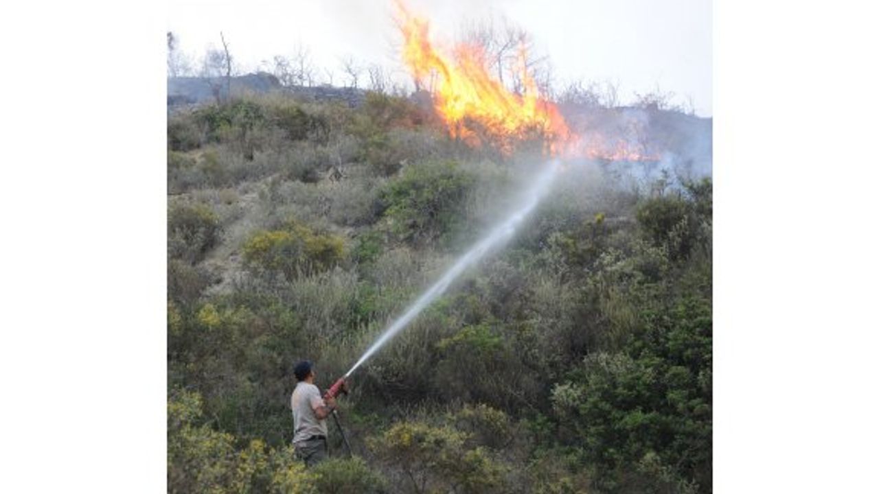İskele Belediyesi'nden acil durum çağrısı