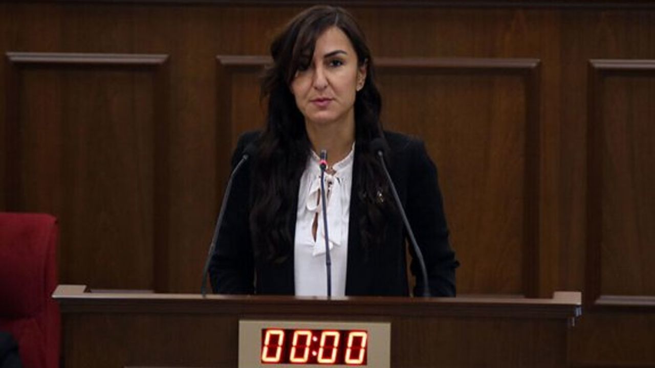 “İşte tam da bu yüzden Meclis'teyiz”