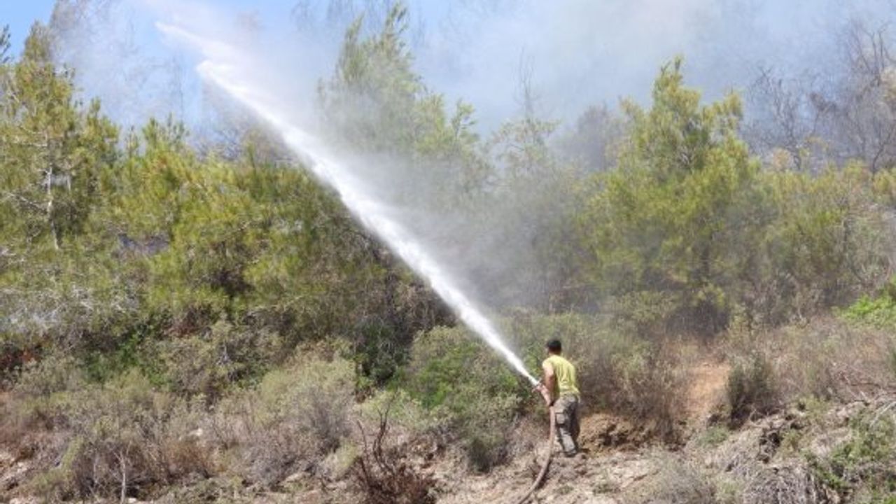 Toroslu: Dün gece 500-600 dönüm dolaylarında arazi yandı