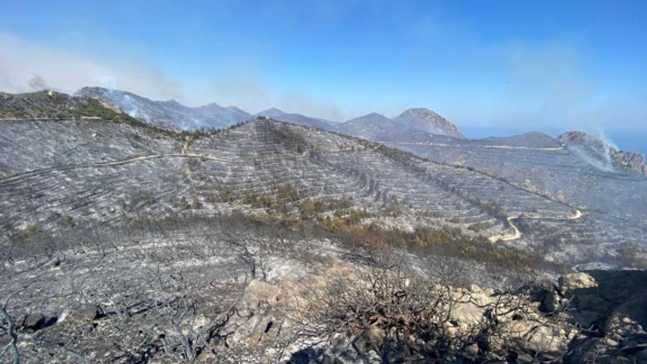 Yangından zarar görenler için Yardım Komitesi kuruldu