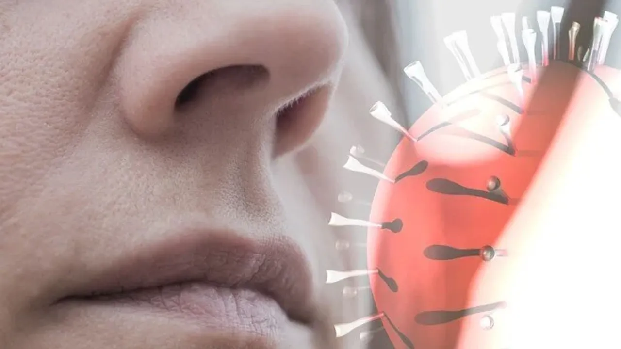 Covid-19 nedeniyle 27 milyon kişi tat ve koku alamıyor