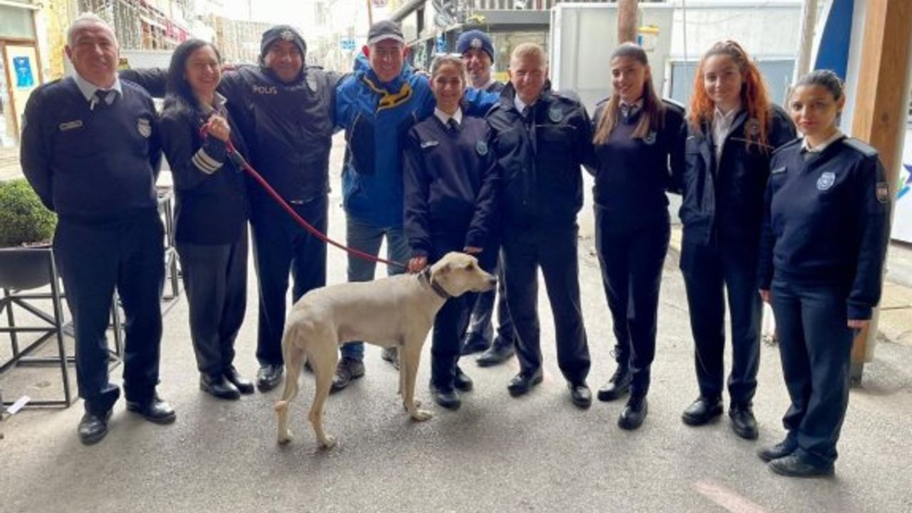 “Güzel yürekli insanlar diyarı Kuzey Kıbrıs”
