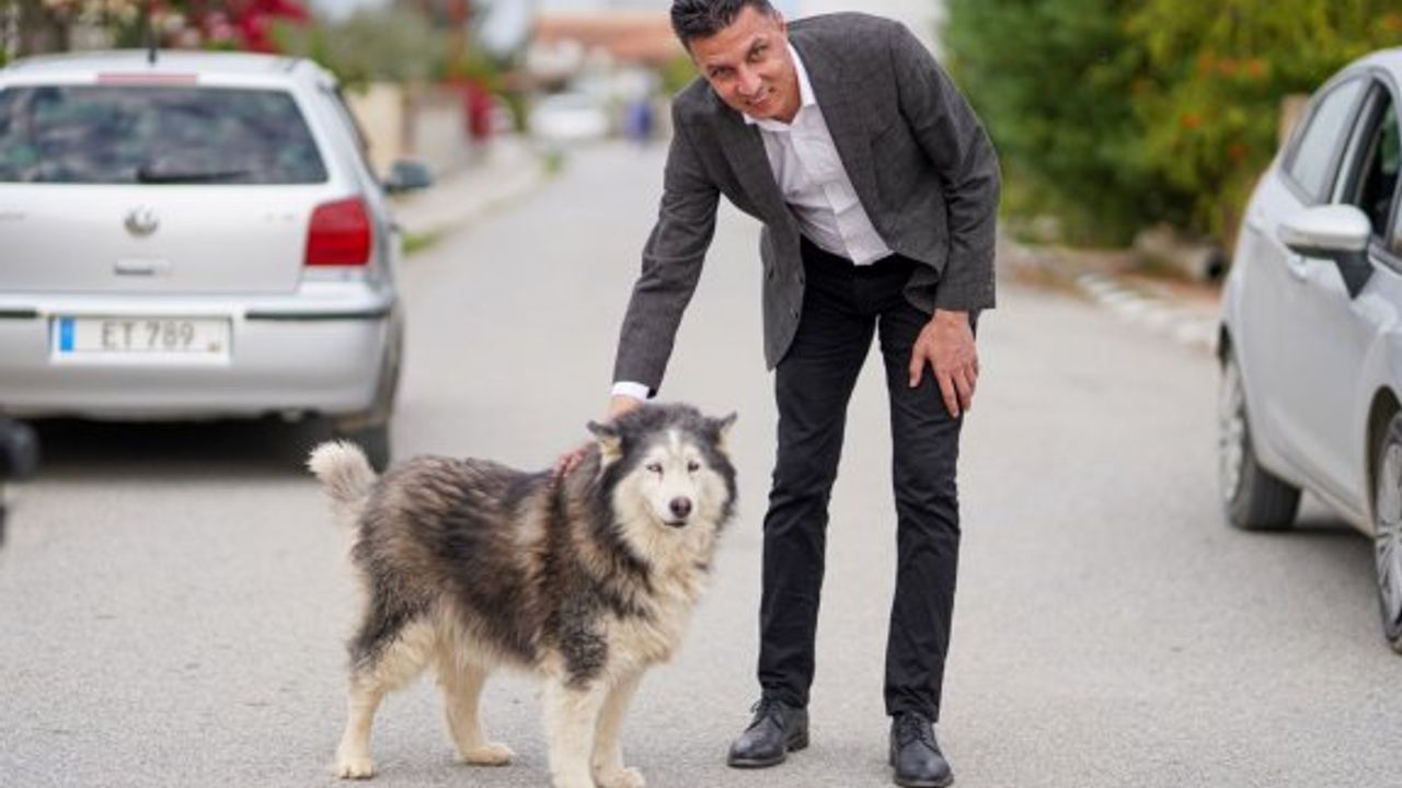 Amcaoğlu "Yerel yönetimler sadece insanlar için değil tüm canlılar için önemli"