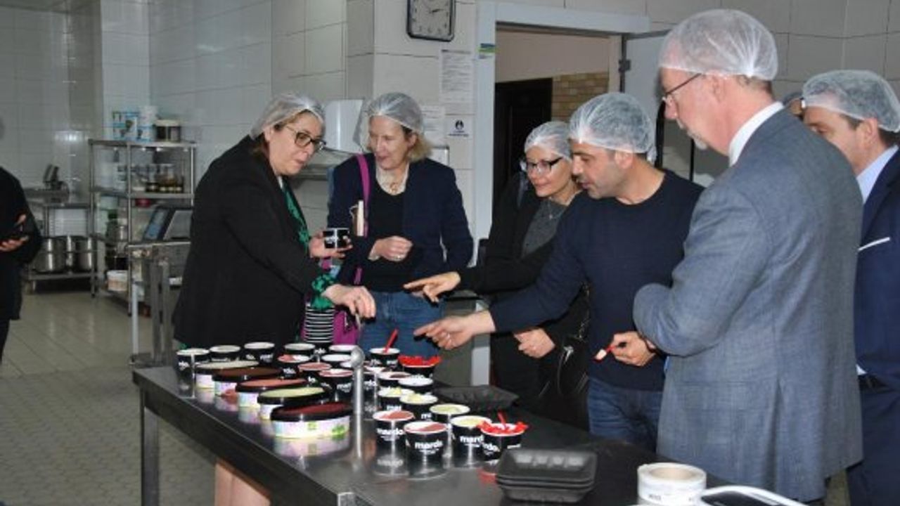 AB Yapısal Destek Koordinasyonu sanayi tesislerini gezdi