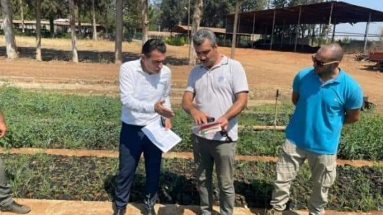 Güzelyurt Kaza Tarım Dairesi taşınıyor