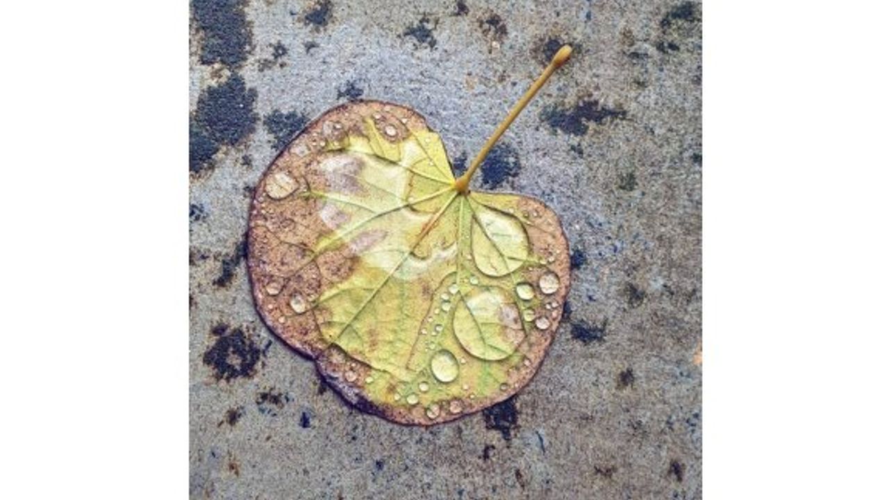 'Melekler Takımı'na yazılmış güzel bir şiir