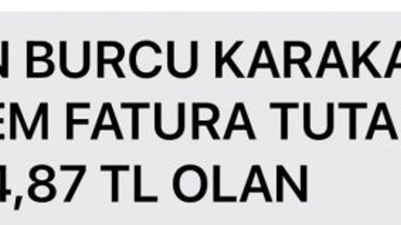 UBP'liler de elektriğe isyan etti; Burcu Karakaya, elektrik faturasına tepki gösterdi