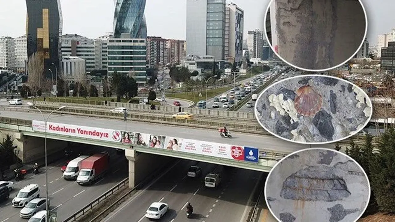 İstanbul'daki köprünün betonunda midye kabukları çıktı
