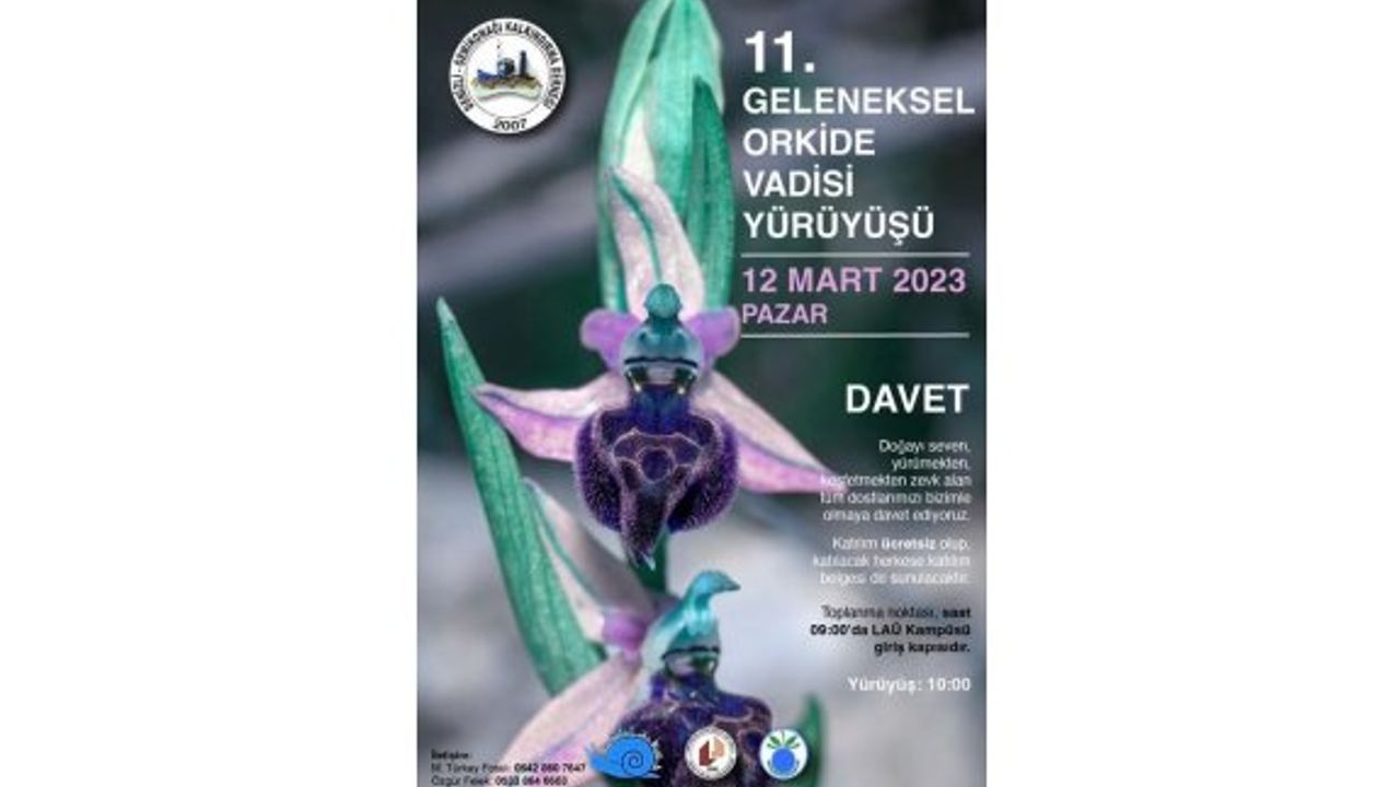 “Orkide Vadisi Gözlem Yürüyüşü” bu pazar yapılıyor