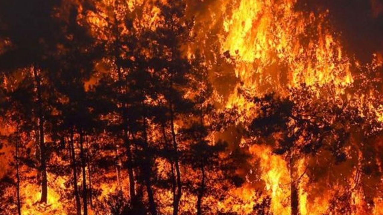 Orman yangınına neden olmanın cezası 100 asgari ücret ve 15 yıl hapis cezası…