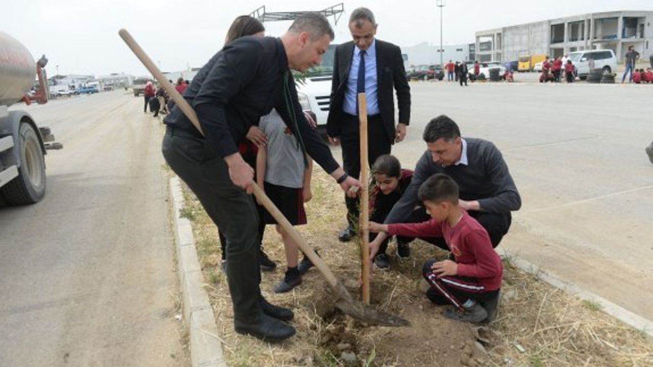 Alayköy Organize Sanayi Bölgesi'ne ağaçlar dikildi