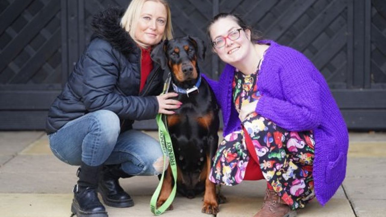 Böbrek yetmezliği sorununu, köpeği çözdü