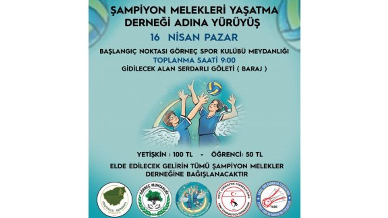 Cimnastik Federasyonu, Şampiyon Melekler Takımı için yürüyecek