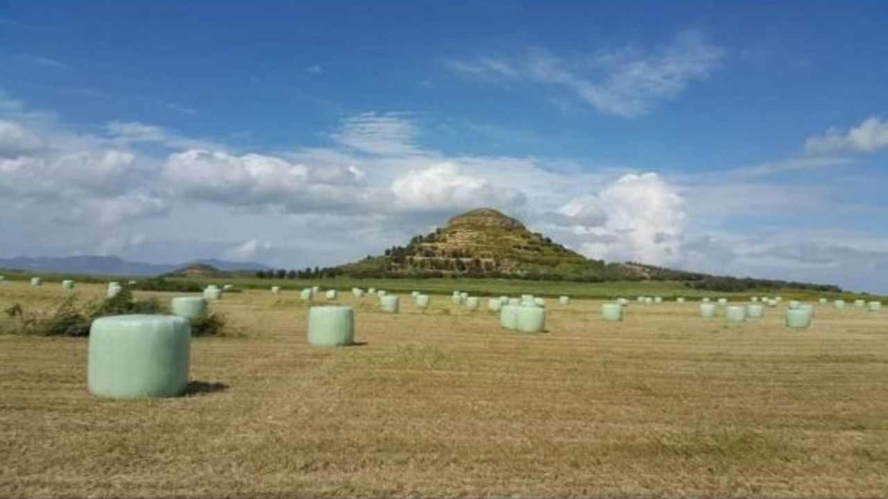 Hayvancı sano ve silaj yapımına başladı ama…