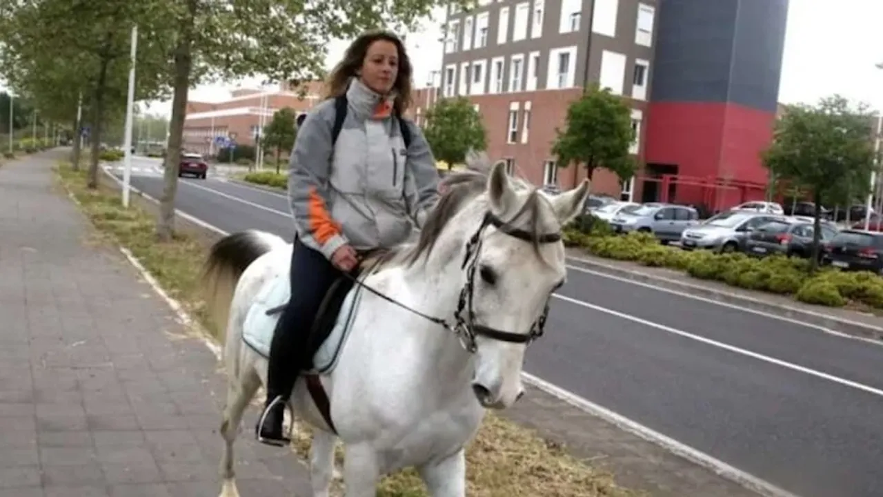 Patronuna kızdı, işe atla gidiyor