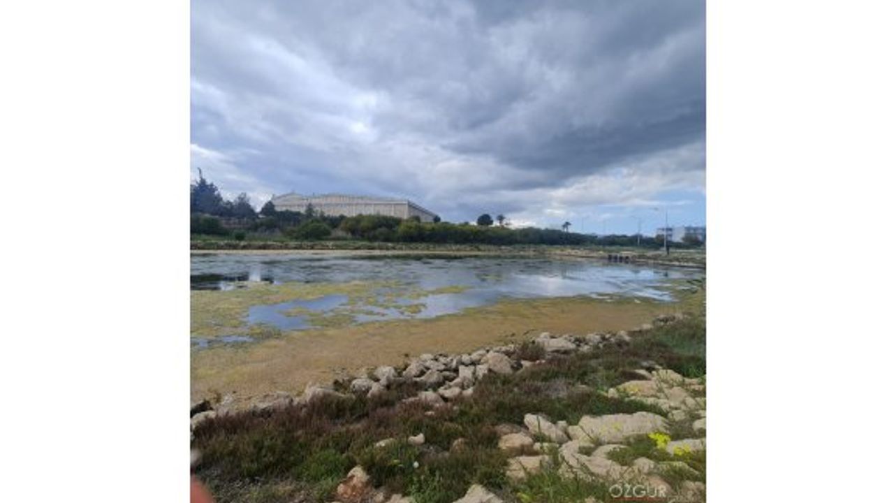 TDP Bafra lagününde yapılması gerekenlere dikkat çekti