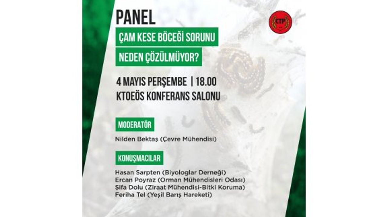 “Çam Kese Böceği Sorunu Neden Çözülmüyor?”