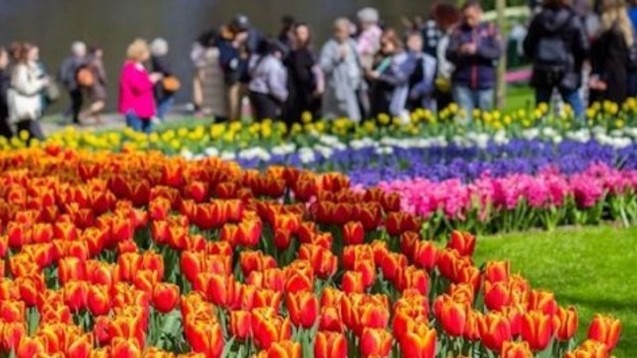 Hollanda'da 9. Kırmızı Lale Film Festivali başladı