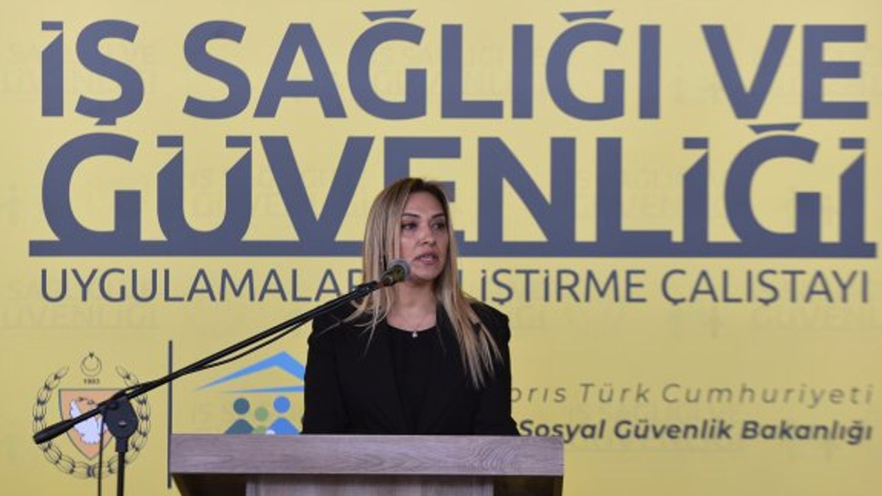 İş Sağlığı ve Güvenliği Uygulamaları Geliştirme Çalıştayı yapılıyor