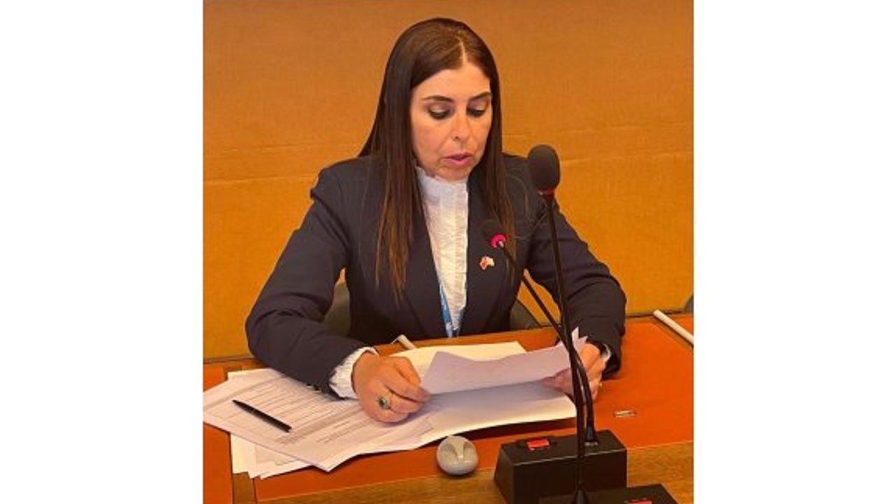 KKTC, Ekonomik İşbirliği Teşkilatında gözlemci üye sıfatıyla temsil edildi