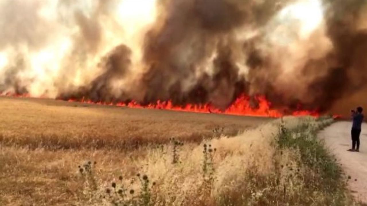 Yol kenarlarının hasat edilmesi için duyuru
