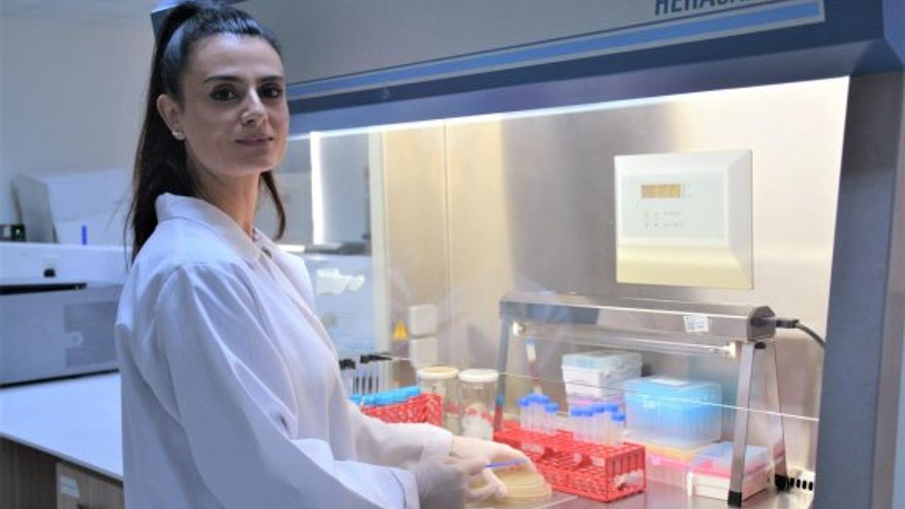Antibiyotik direncine karşı umut yaratan iş birliği