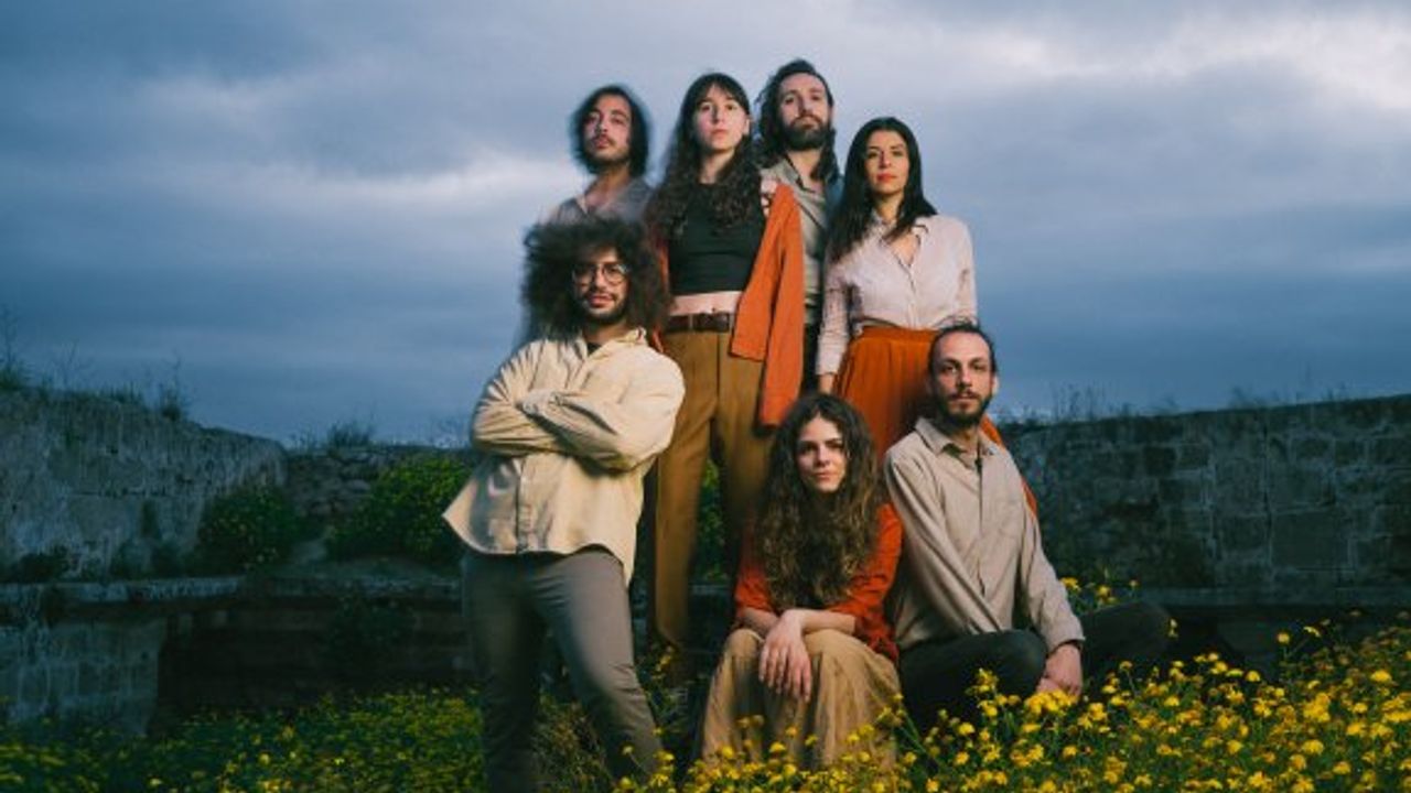 Island Seeds, ilk single'ı “Stray Cat” (Sokak Kedisi) yayınlandı