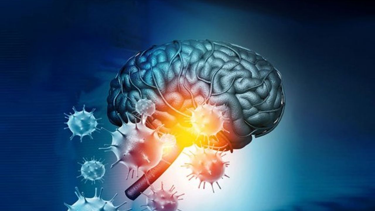 Kovid-19 virüsünün beyin hücreleriyle birleşebildiği kanıtlandı