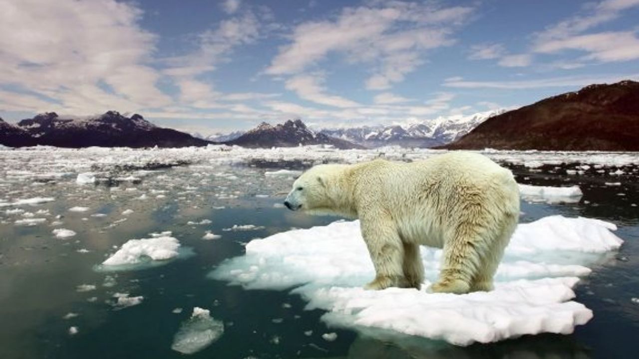 Küresel iklim değişiklikleri ve insan müdahalesi dünyayı adım adım yaşanmaz hale dönüştürüyor!