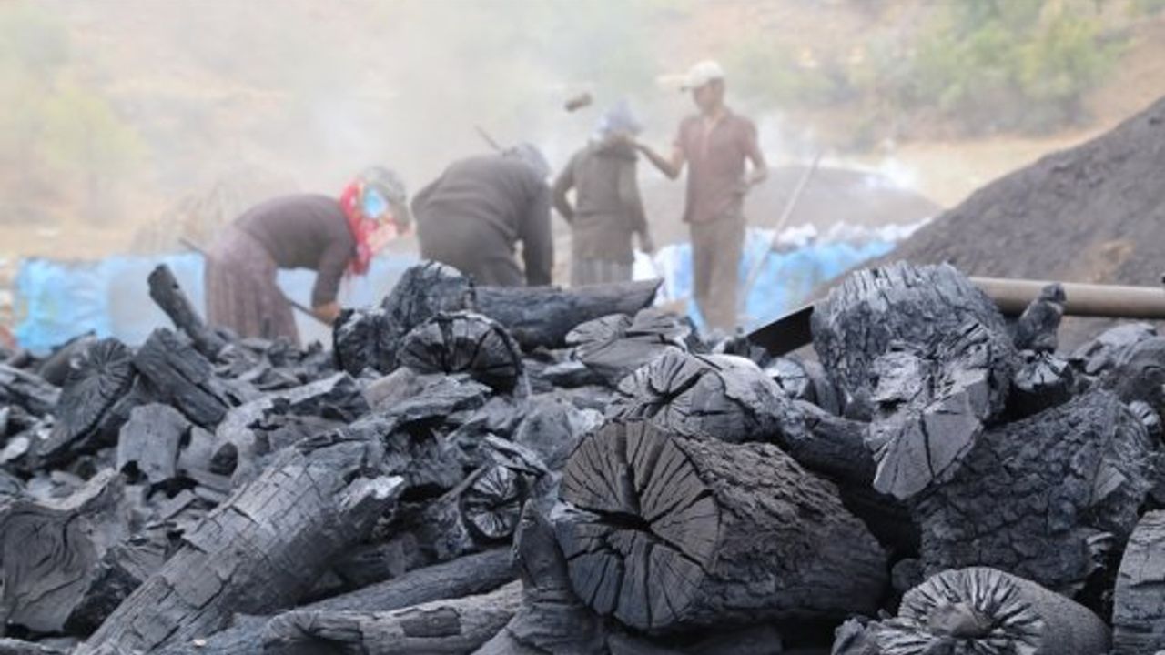 Bir ithalatçıya ait mangal kömürünün ülkeye girişine onay verilmedi