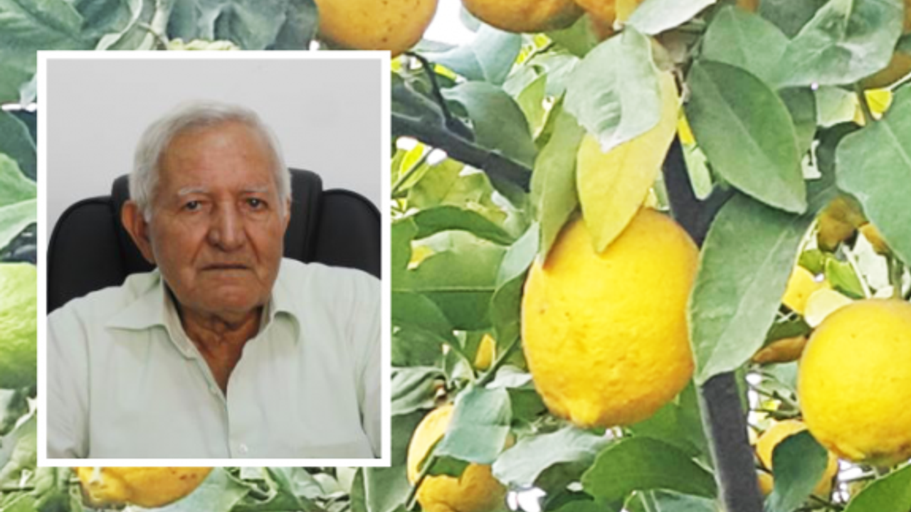 Akçın: Narenciye üreticisi zor günler geçiriyor