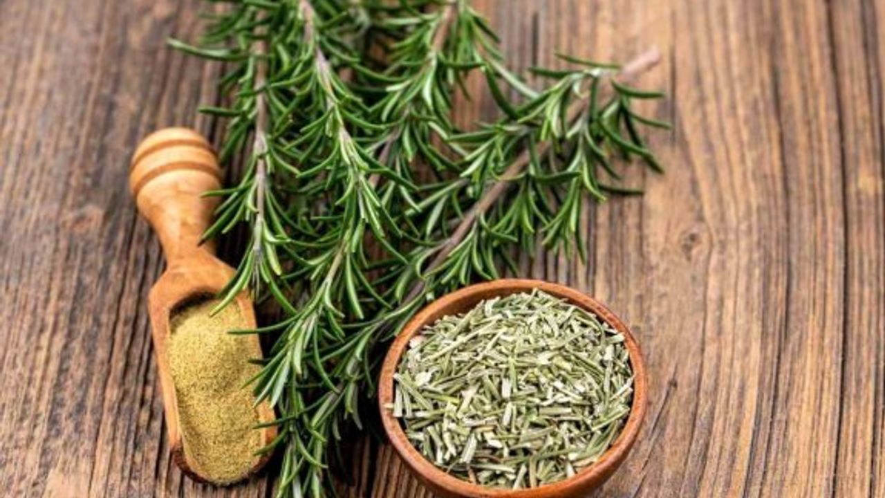 Kıbrıs biberiyesi, Karaciğer kanseri tedavisinde umut olabilir!