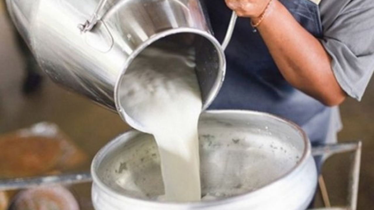 KTSO: “Hayvancılık ve süt ürünlerinde kırmızı alarm”