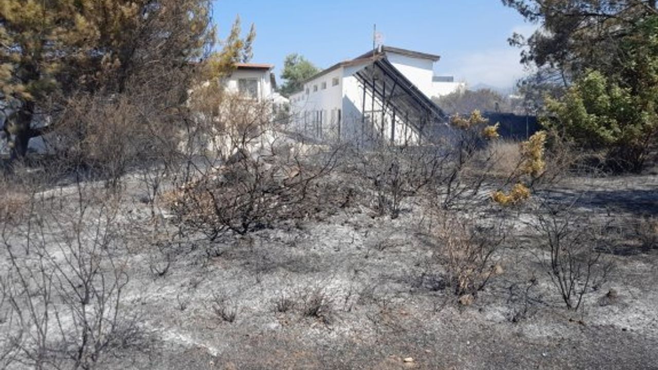 Limasol yangının zararının maliyeti 450 bin Euro